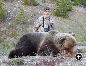 Grizzly Bear Hunting