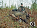 Moose Hunting