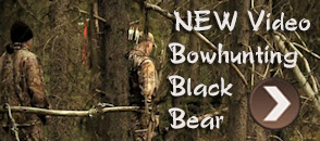 Bowhunting for Black Bear with Heartland Bowhunters
