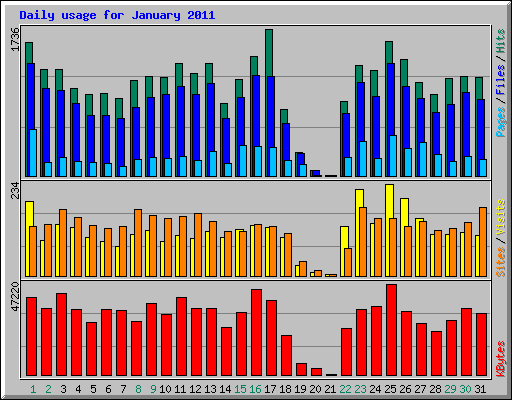 Daily usage for January 2011